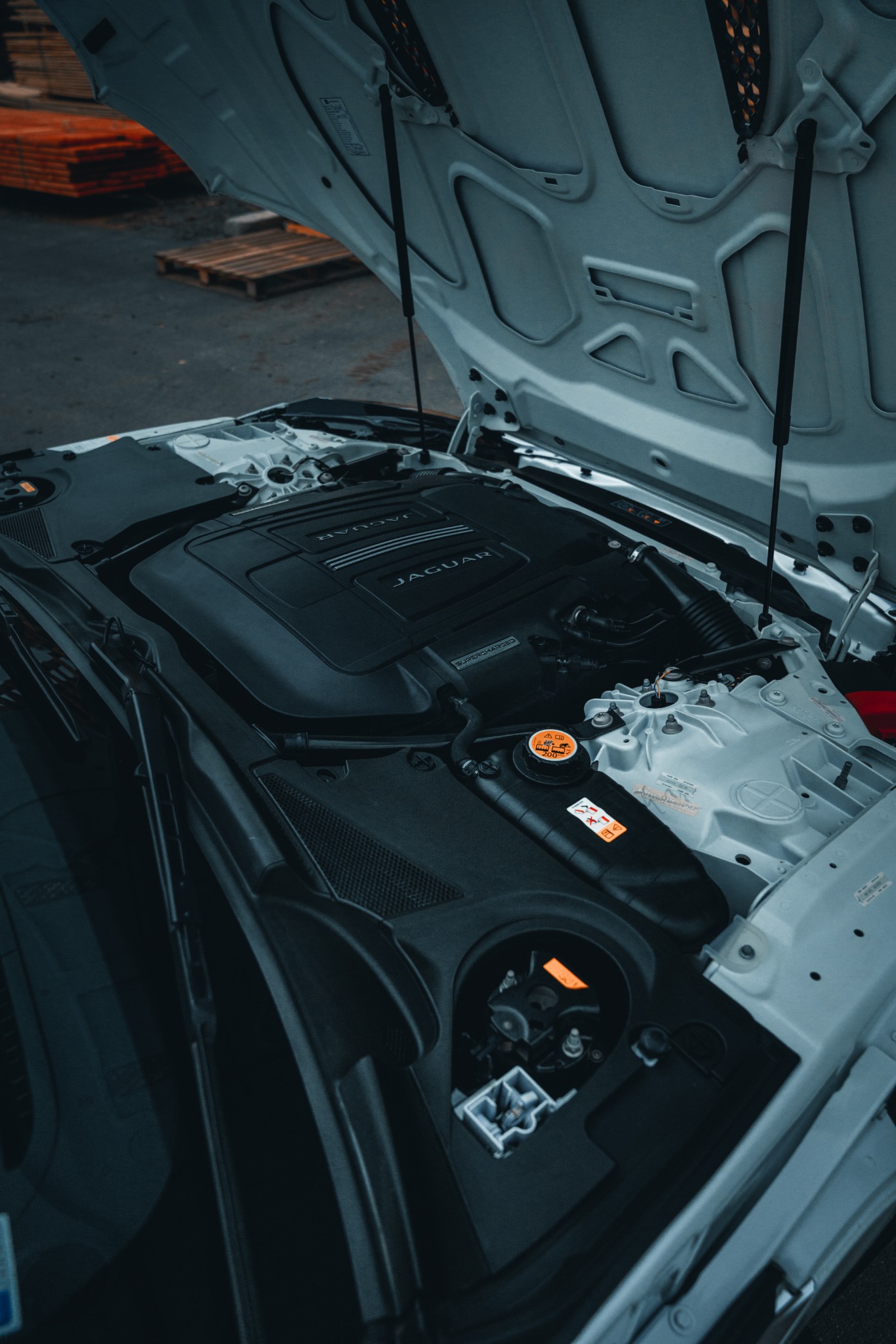 Motor Jaguar